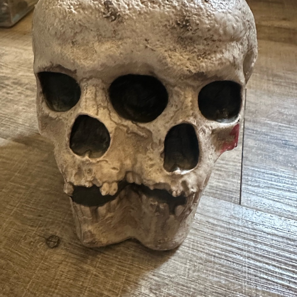 Rustic Skull Art Decor